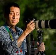 麻d传媒2022国产大象app-麻d传媒2022国产大象app，数字时代的文化与娱乐新探索