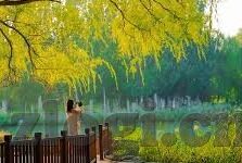 日韩成人在线视频-成人娱乐文化的多元化视角，日韩在线视频的独特魅力