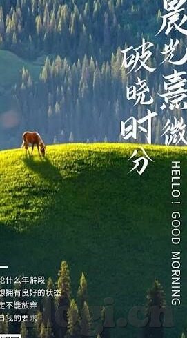 神马韩国伦理电影2018在线观看-2018年韩国伦理电影，在线观影的多元视角